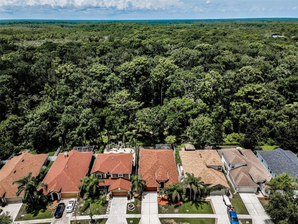 Photo of 15762 Cedar Elm Ter, Land O Lakes, FL 34638 (MLS # TB8398219)