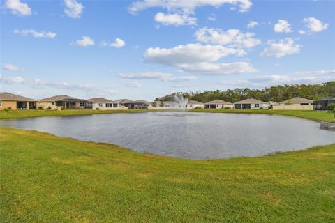 A home in WESLEY CHAPEL