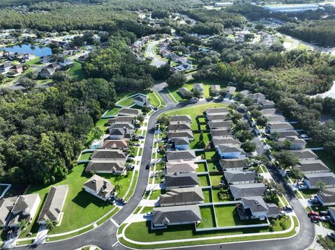 A home in LAND O LAKES