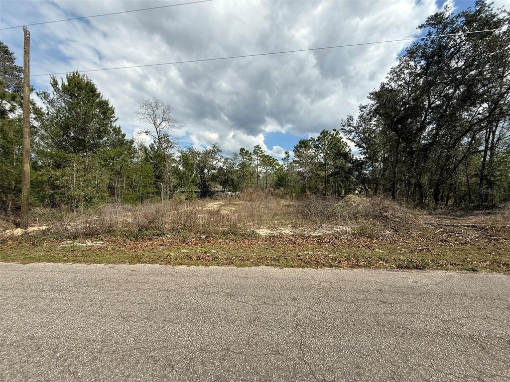 Photo of 19 Fisher Lane Track, Ocklawaha, FL 32179 (MLS # O6368729)