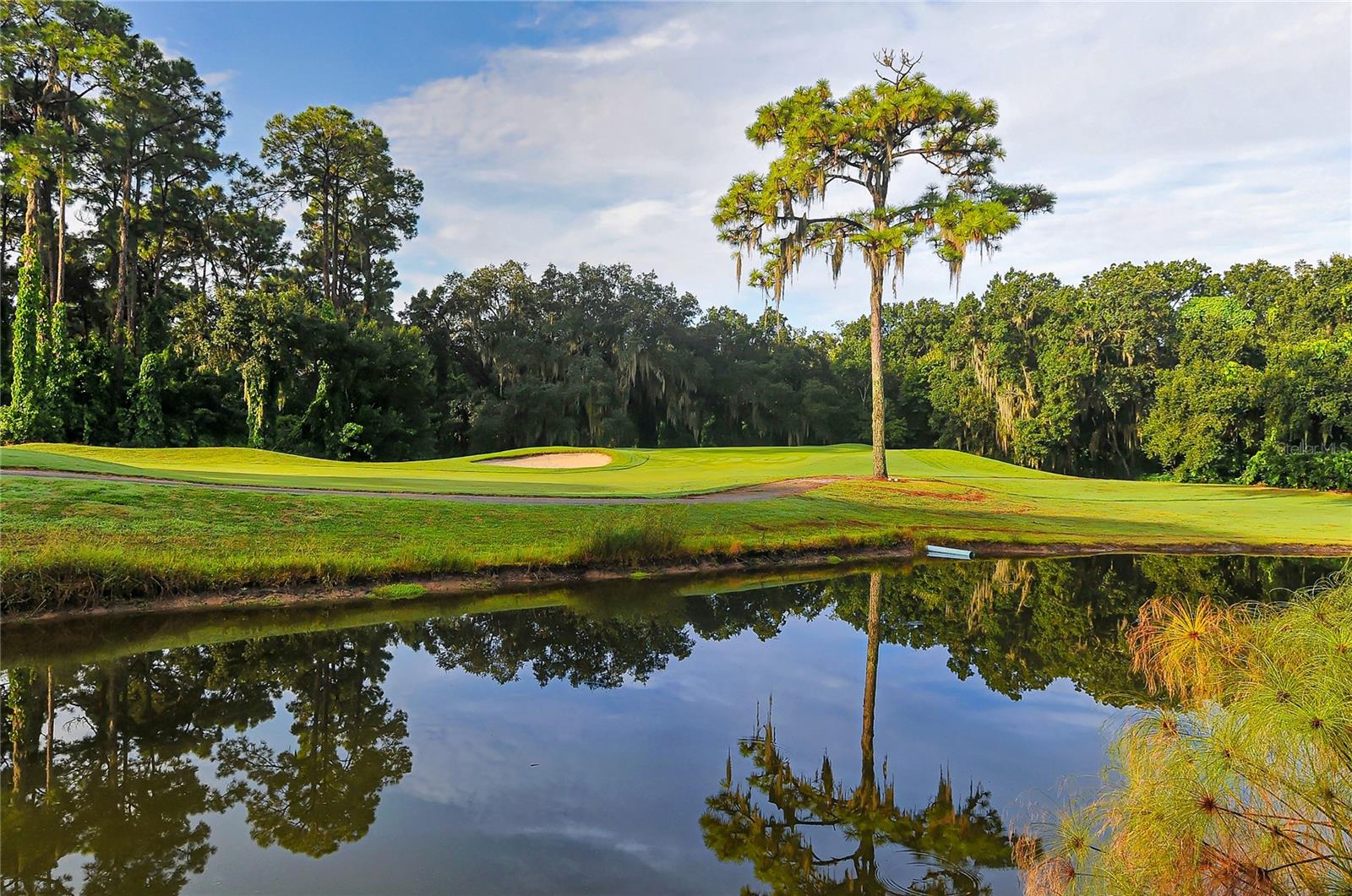 MEADOWLAKE II - Residential