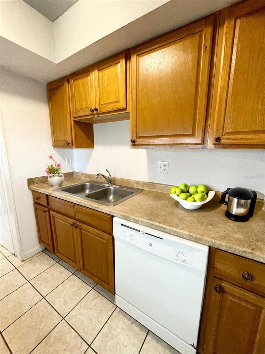 BUENA VISTA DEV - Residential Lease