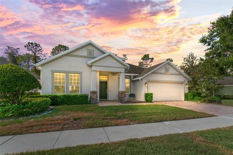 A home in APOPKA