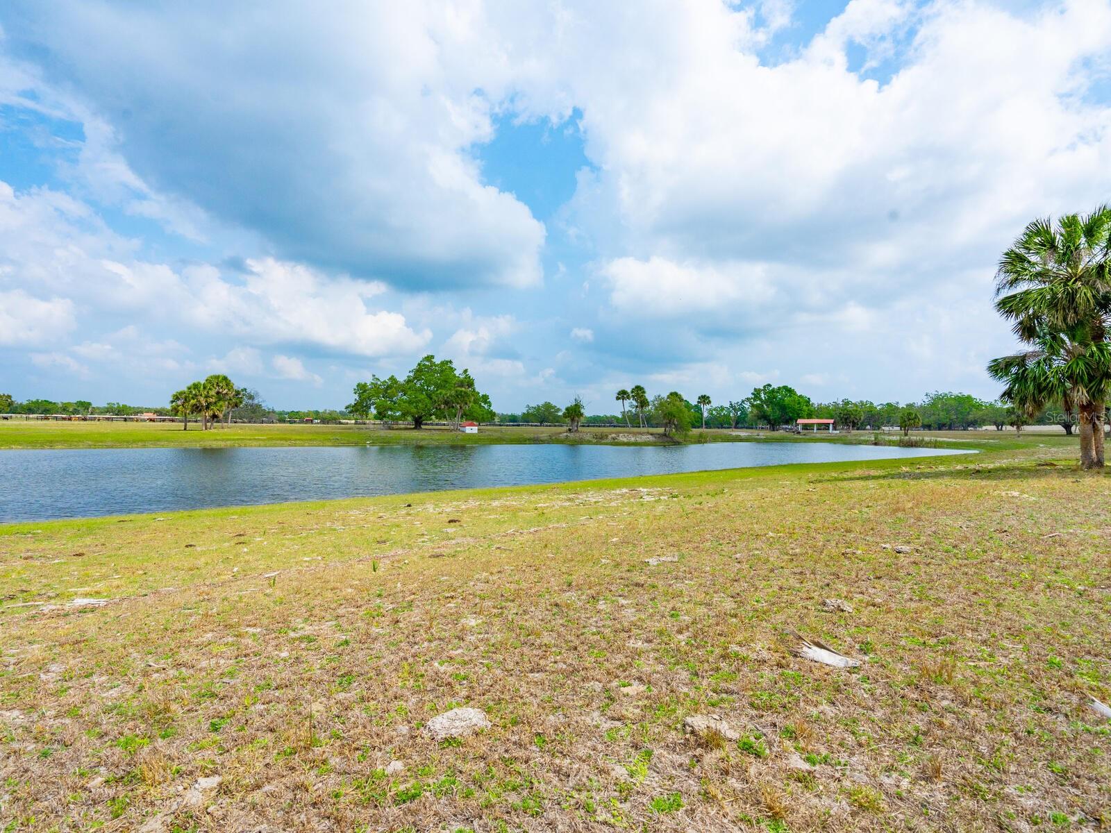 NORTH VENICE FARMS - Land