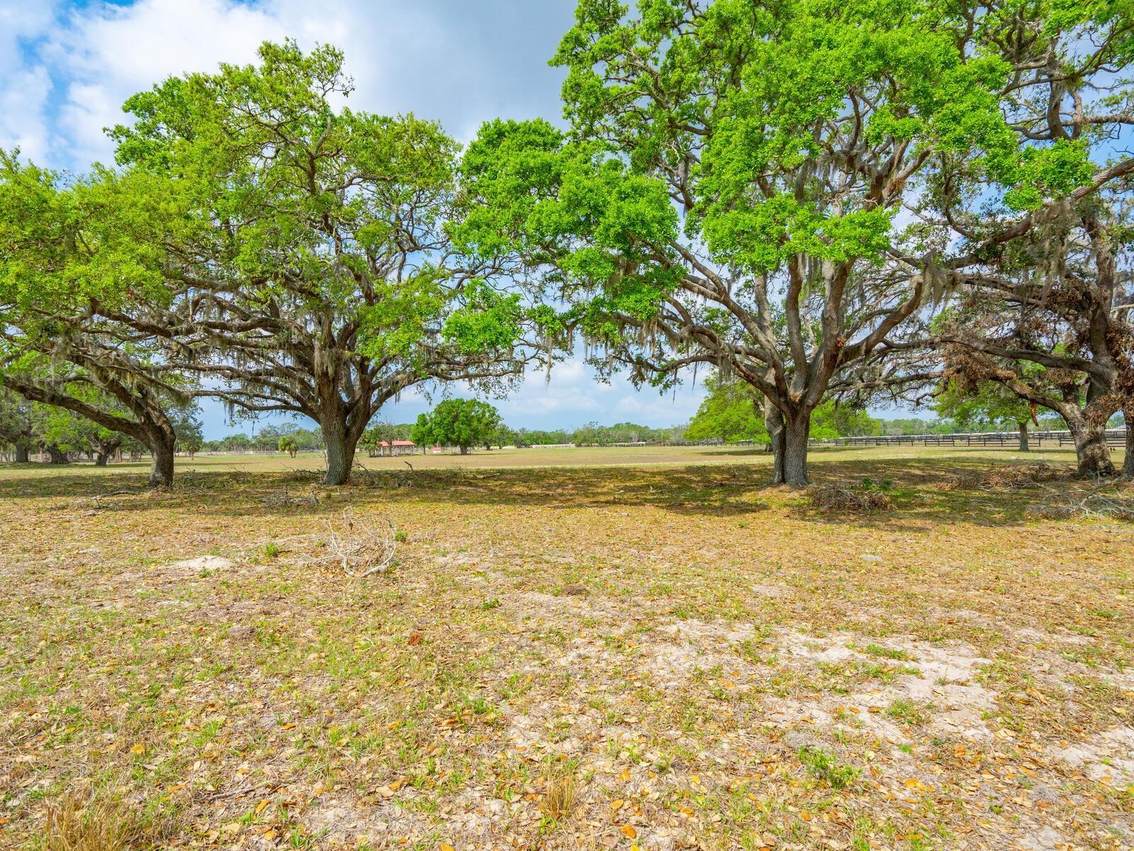 NORTH VENICE FARMS - Land