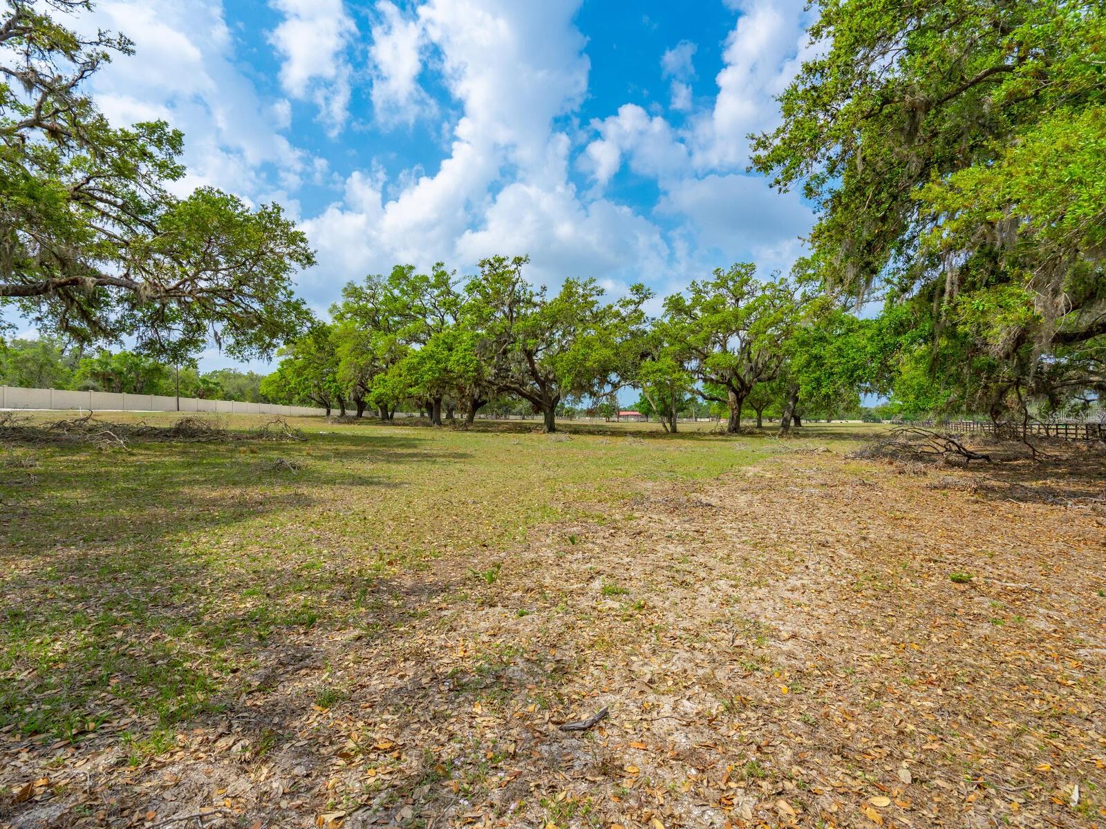 NORTH VENICE FARMS - Land