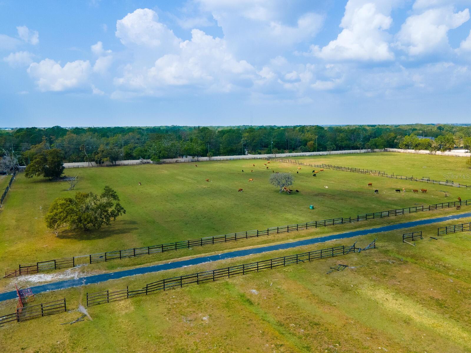 NORTH VENICE FARMS - Land