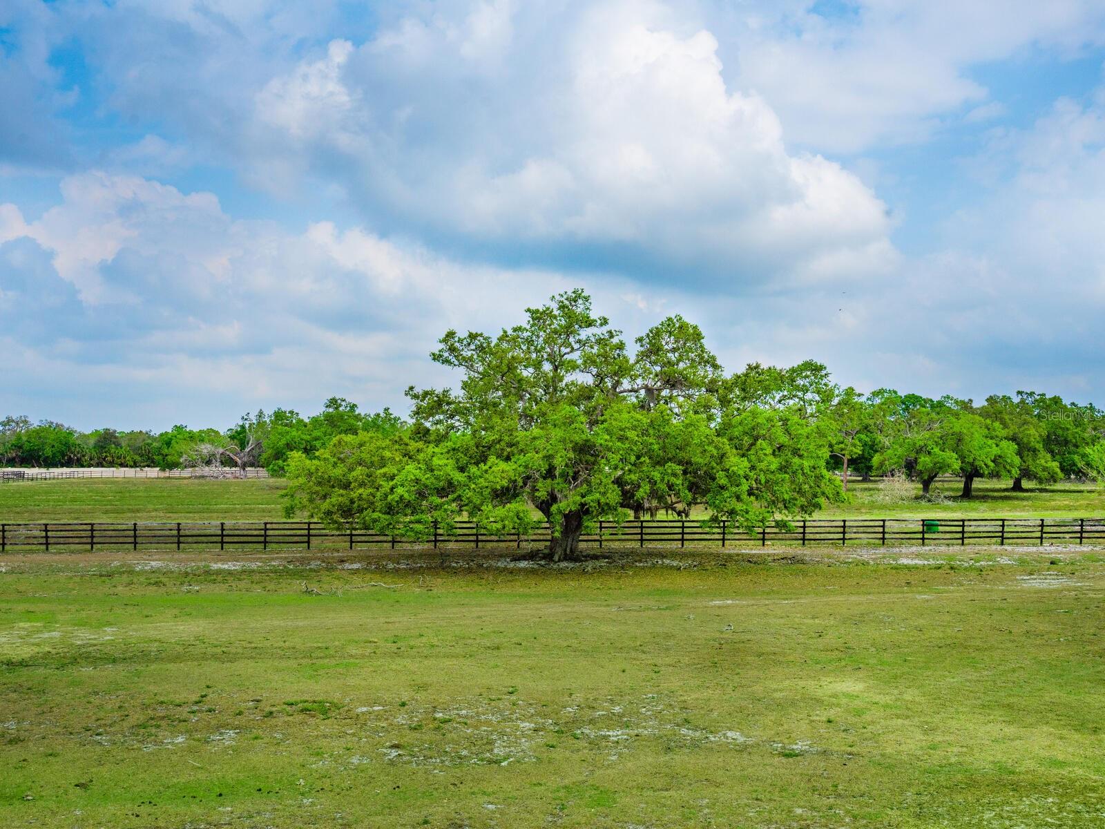 NORTH VENICE FARMS - Land