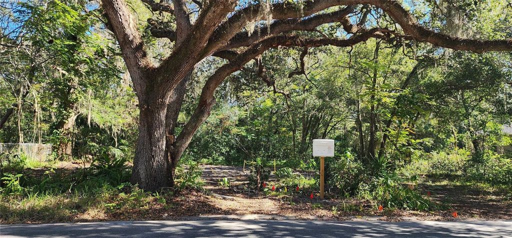 Photo of 1016 Nebraska Street, Leesburg, FL 34748 (MLS # O6370523)