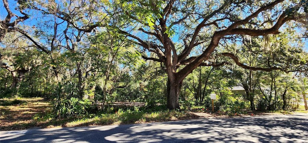 Photo of 1016 Nebraska Street, Leesburg, FL 34748 (MLS # O6370523)