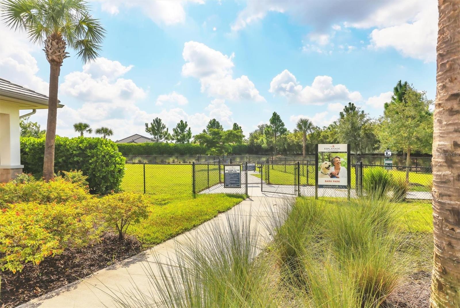 AZARIO ESPLANADE PH IV - Residential Lease