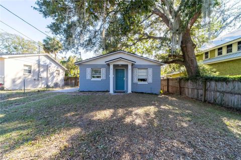 A home in MOUNT DORA