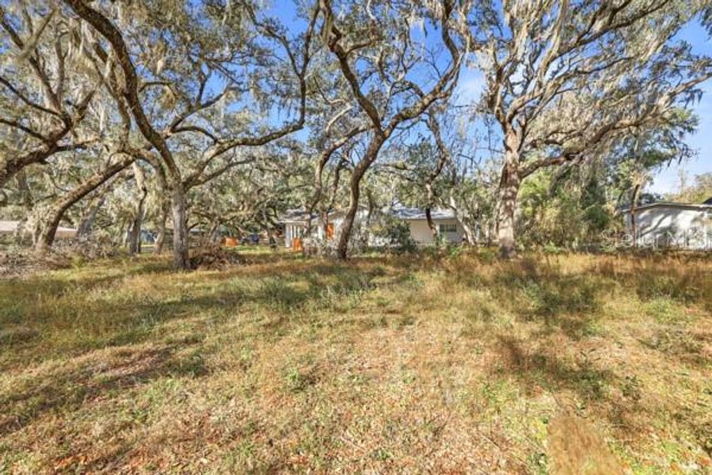 Photo of 34574 Orchid Parkway, Dade City, FL 33523 (MLS # TB8457239)