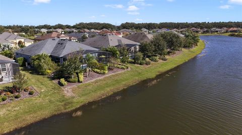 A home in MOUNT DORA