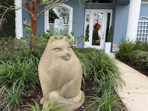 A home in MOUNT DORA