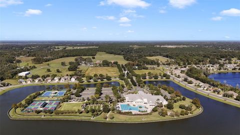 A home in MOUNT DORA