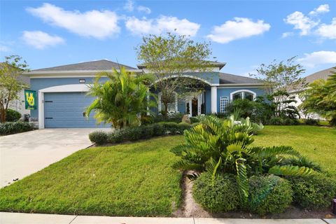 A home in MOUNT DORA