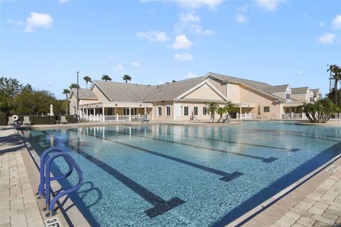 A home in MOUNT DORA