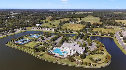 A home in MOUNT DORA