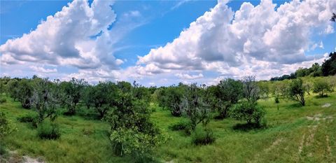 NO STREET DE LEON SPRINGS FL 32130