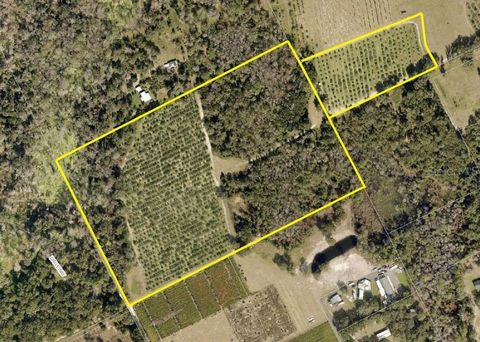 NO STREET DE LEON SPRINGS FL 32130
