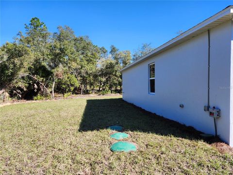 A home in EUSTIS