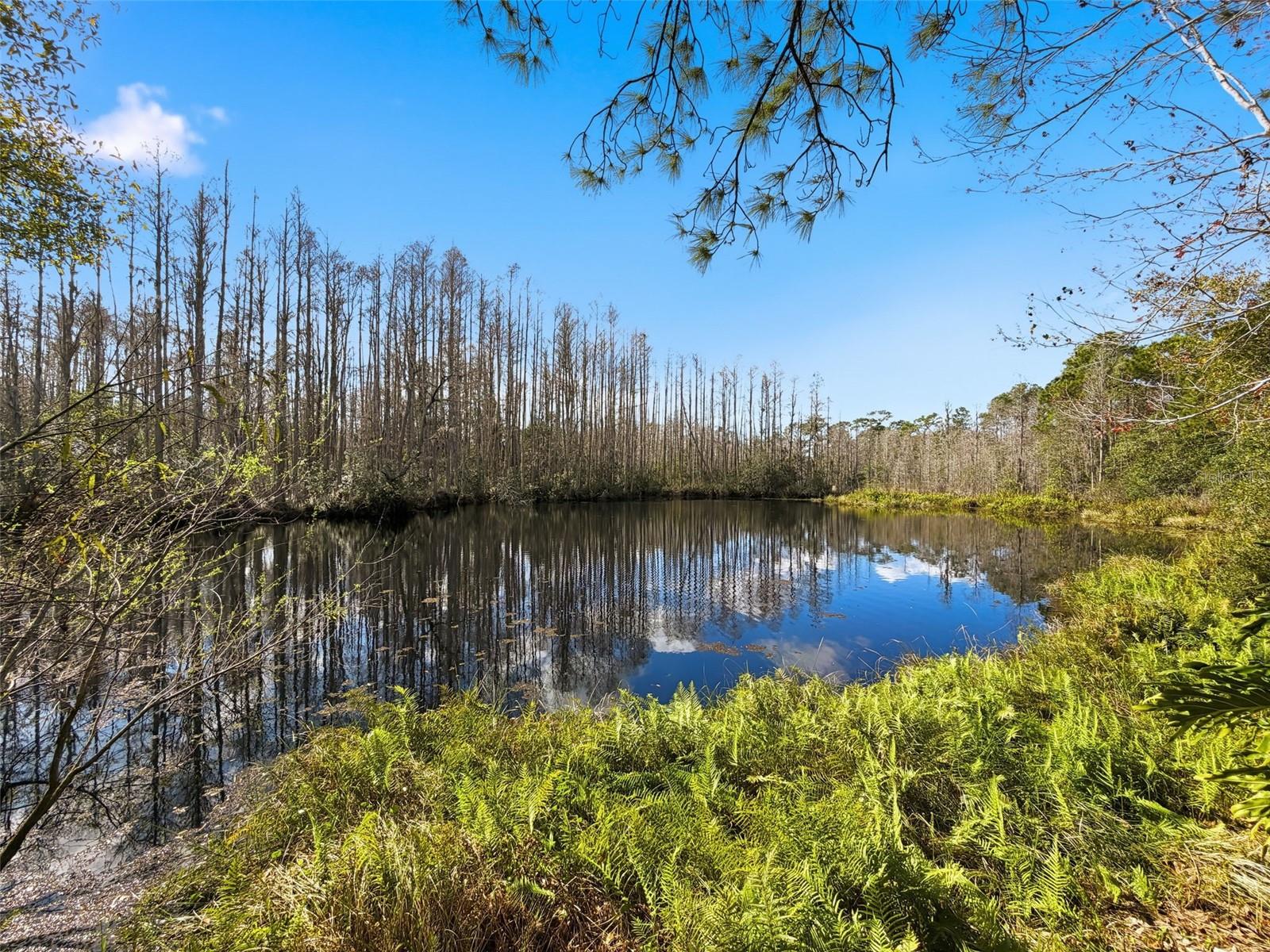 UNPLATTED - Residential