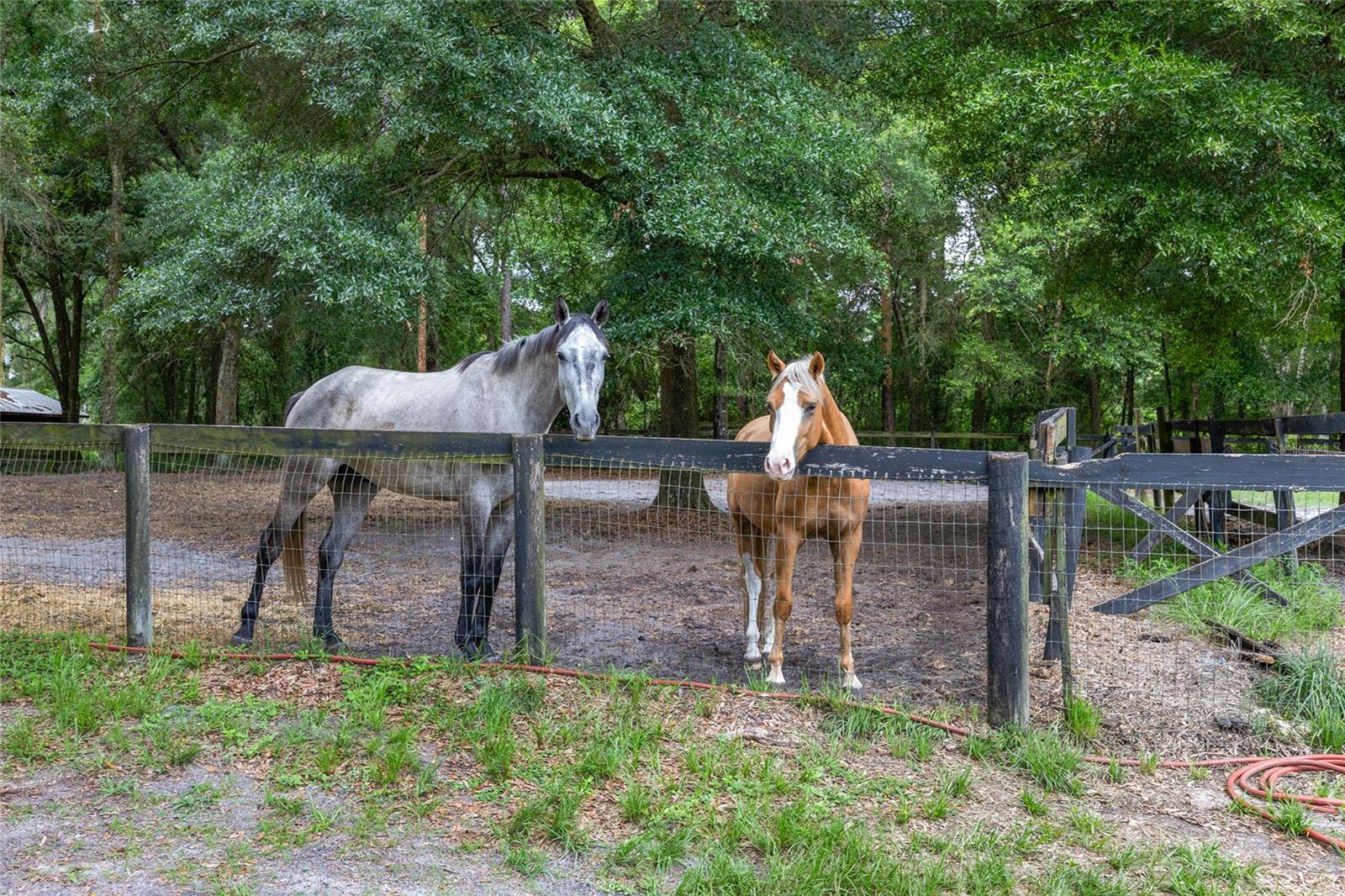 ARREDONDO GRANT - Residential