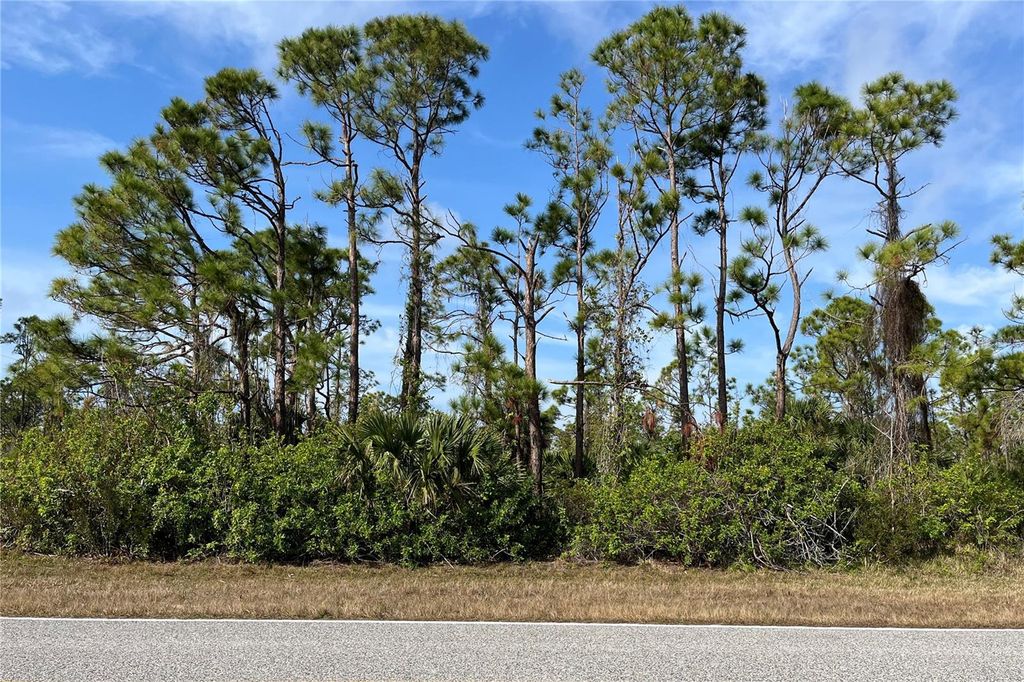 Photo of 14767 San Domingo Boulevard, Port Charlotte, FL 33981 (MLS # D6143985)