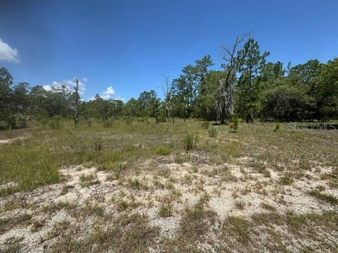 Tiny photo for SE 134th Avenue, Dunnellon, FL 34431 (MLS # OM727512)