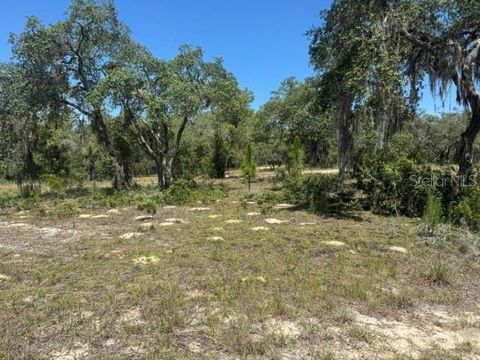 Tiny photo for SE 134th Avenue, Dunnellon, FL 34431 (MLS # OM727512)