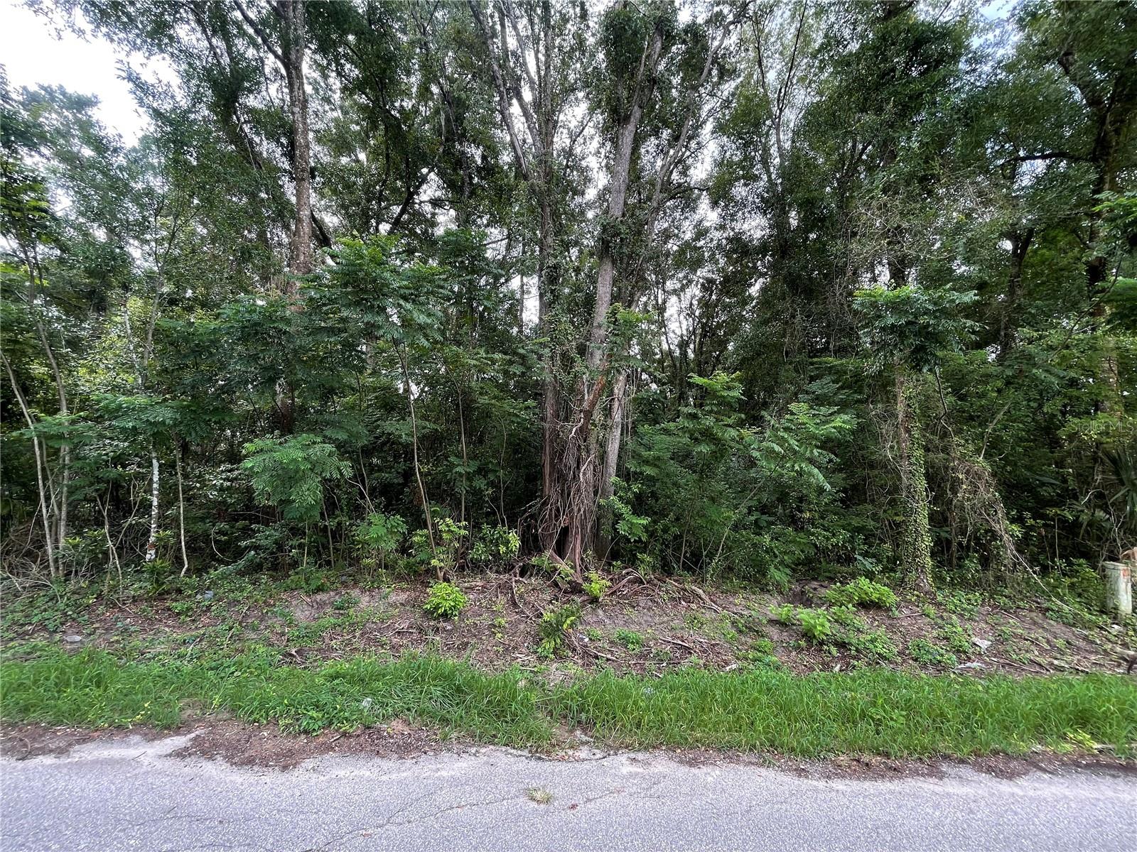 Dream Home Opportunity! Your chance to build the home you’ve always envisioned!Located in Central Florida in the city of Summerfield between Belleview and The Villages. Nearby entrance to I-75 North or South in a fast-growing area. This lot in in Belleview Heights down a paved road. It is for site built or Modular and not for mobile homes.