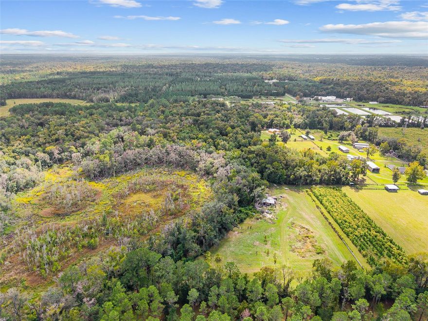 Nestled in the elevated terrain of northwest Gainesville, this exceptional 17.51-acre tract at 8543 NW 71st Terrace rises to approximately 180 feet above sea level — making it one of the highest-elevation parcels in the region. A generous buildable zone on the northwest end of the property offers an ideal pad for your custom home or estate, while the deeper reaches of the parcel reveal a stunning natural backdrop as ravines gently descend toward the bordering preserved woods of the adjacent San Felasco Hammock Preserve State Park and its thriving ecosystem. Under a mature hardwood and pine canopy you’ll discover an enviable forager’s landscape graced with wild mushrooms (lion’s mane, turkey tail, chanterelles), patches of wild turmeric, and brambles of wild raspberries and blackberries — a true seasonal harvest on your own acreage. Wildlife is abundant: deer, waterfowl and other species wander in from the preserve, making this land ideal for recreational pursuits like hunting, observing nature, or designing your own private wetlands. Incredibly, this secluded nature retreat sits just minutes from Gainesville and its amenities — offering both serenity and convenience. Whether you envision a private nature estate, a retreat for wildlife-oriented recreation or a long-term land investment, this rare parcel combines elevation, ecological richness and location like few others. Showings by appointment only.