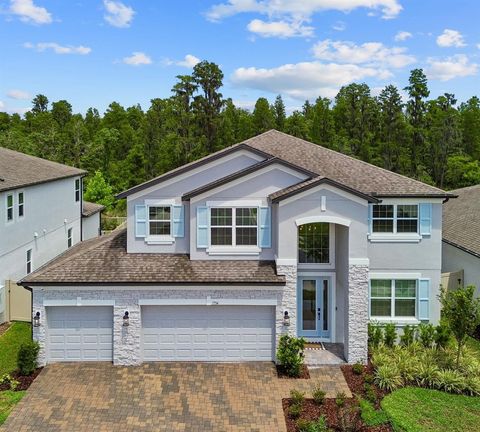 Photo of 7754 Hemlock Seed Drive, Wesley Chapel, FL 33545 (MLS # O6408183)