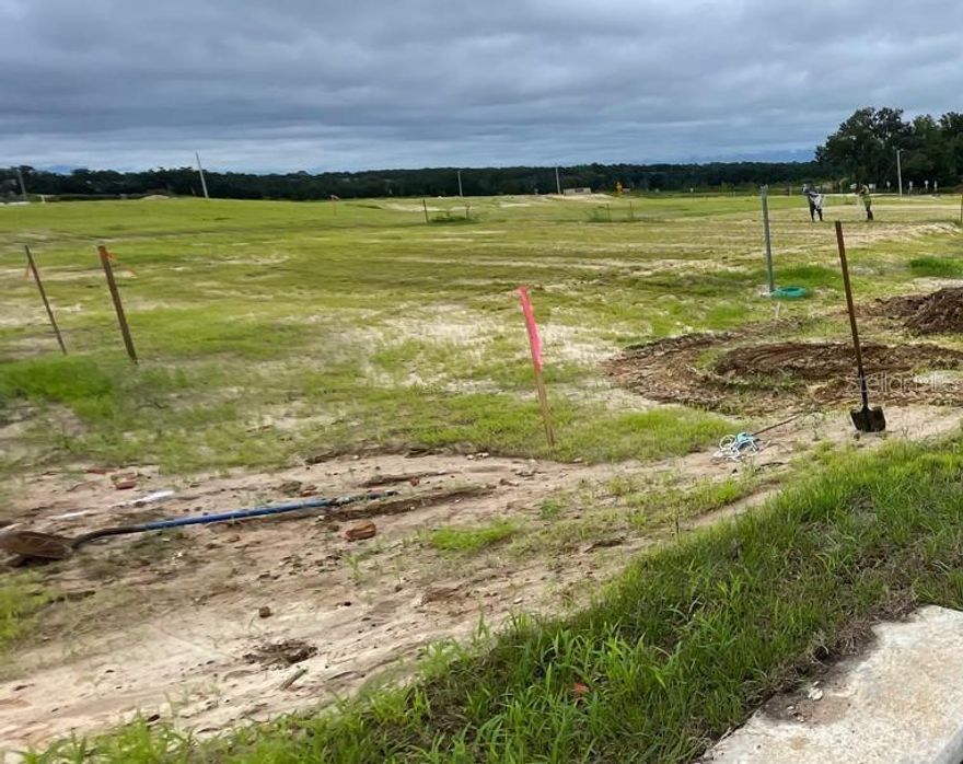 Discover the perfect opportunity to build your dream home on this spacious 0.23-acre lot located in a growing new community of Tara Forest East, in the City of Alachua, Florida. This homesite offers the flexibility of an open builder program, allowing you to choose your own builder and design a home that fits your unique style, needs, and lifestyle.

Set within a thoughtfully planned neighborhood, the property provides a peaceful setting while still being conveniently located near local shops, dining, parks, and major roadways for easy commuting. Whether you envision a modern retreat, a traditional design, or something entirely your own, this lot gives you the freedom to bring your vision to life.

Enjoy the benefits of new community living with the added advantage of personalization. This is a great opportunity for anyone looking to build a primary residence or investment property in a developing area with strong future potential.

Don’t miss your chance to secure a versatile homesite in one of Alachua’s up-and-coming communities.

Lots 61, 62, 63, 64, 78, 79, 80, 81, and 82 are also available for the same price per lot.