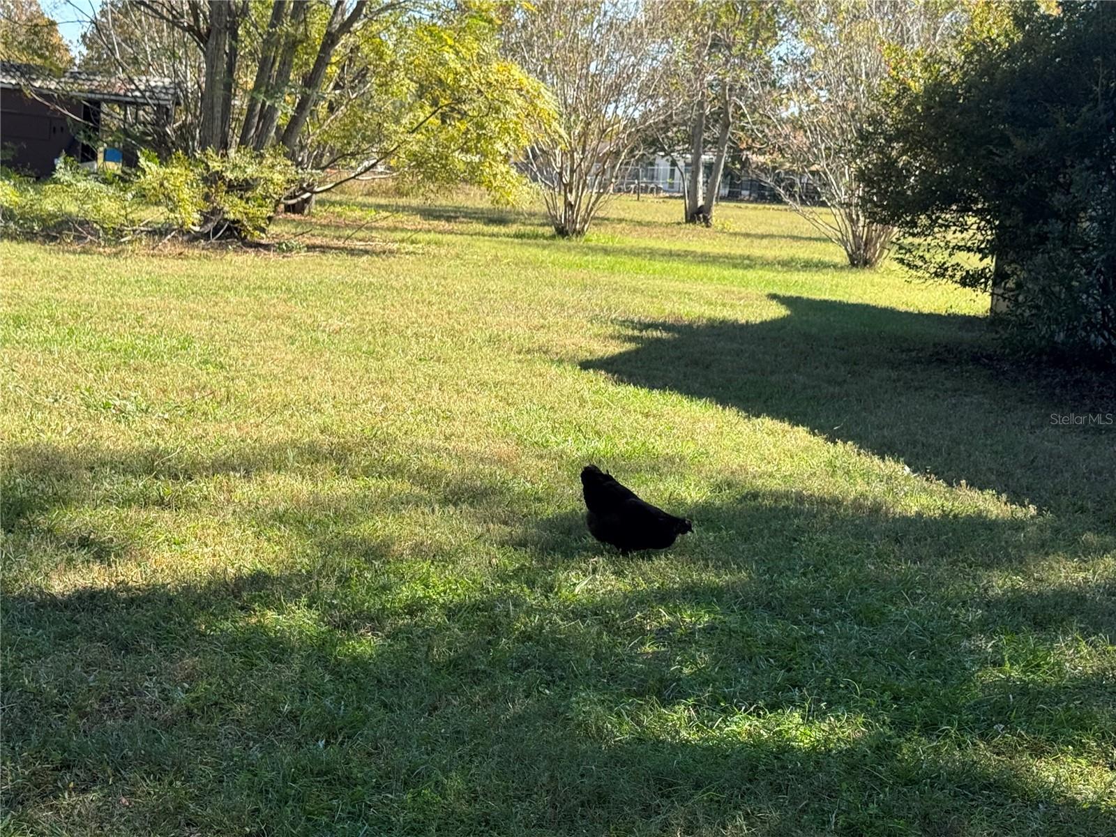 ROVAN FARMS - Residential