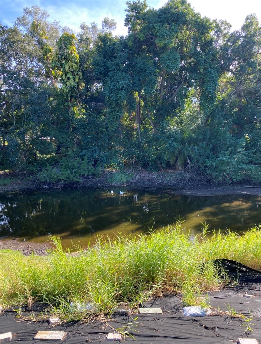 GOLF COURSE & JUNGLE SUB REV MAP - Residential Lease