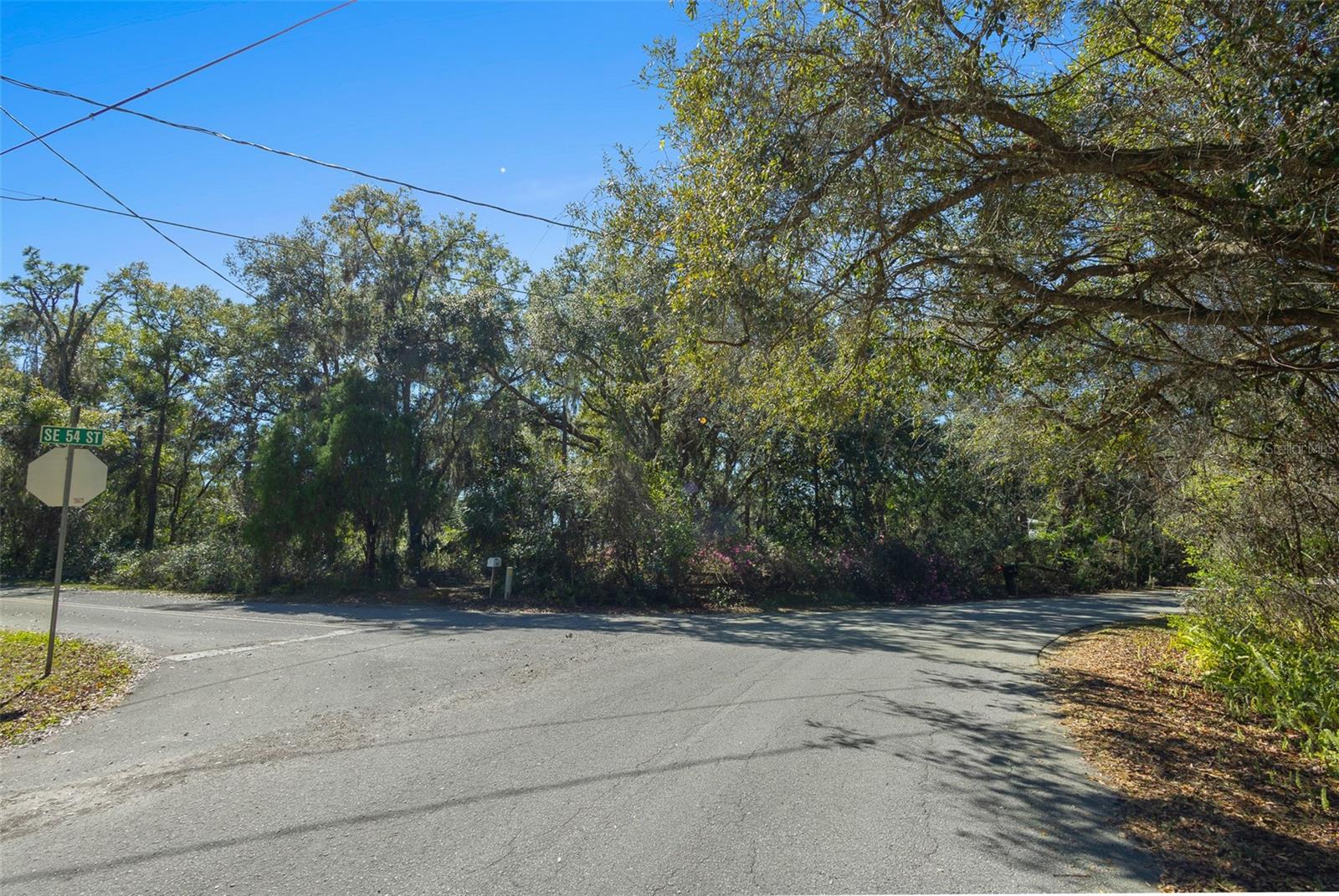 WOODS & LAKES - Land