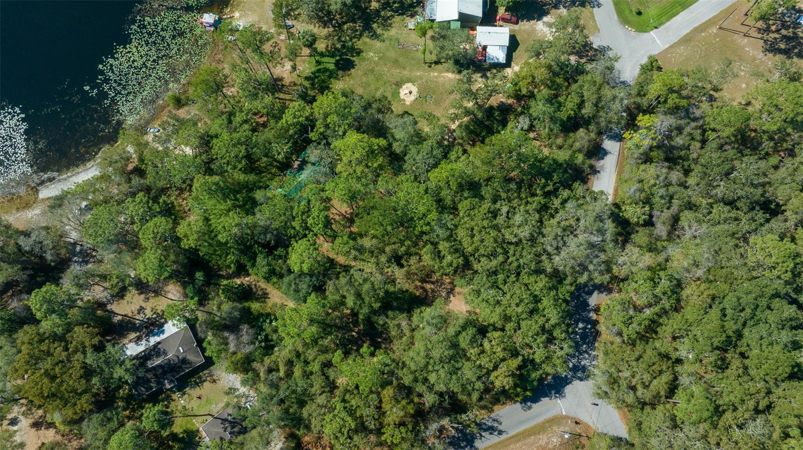 WOODS & LAKES - Land