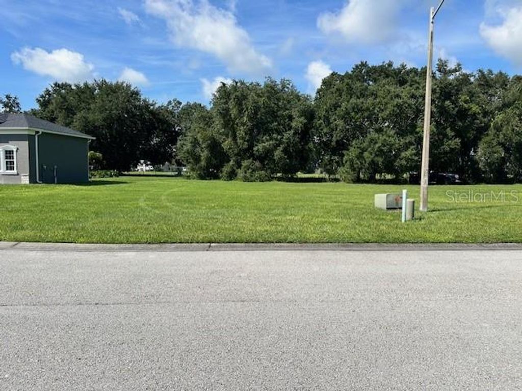 Photo of 118 Laynewade Road, Polk City, FL 33868 (MLS # L4947679)