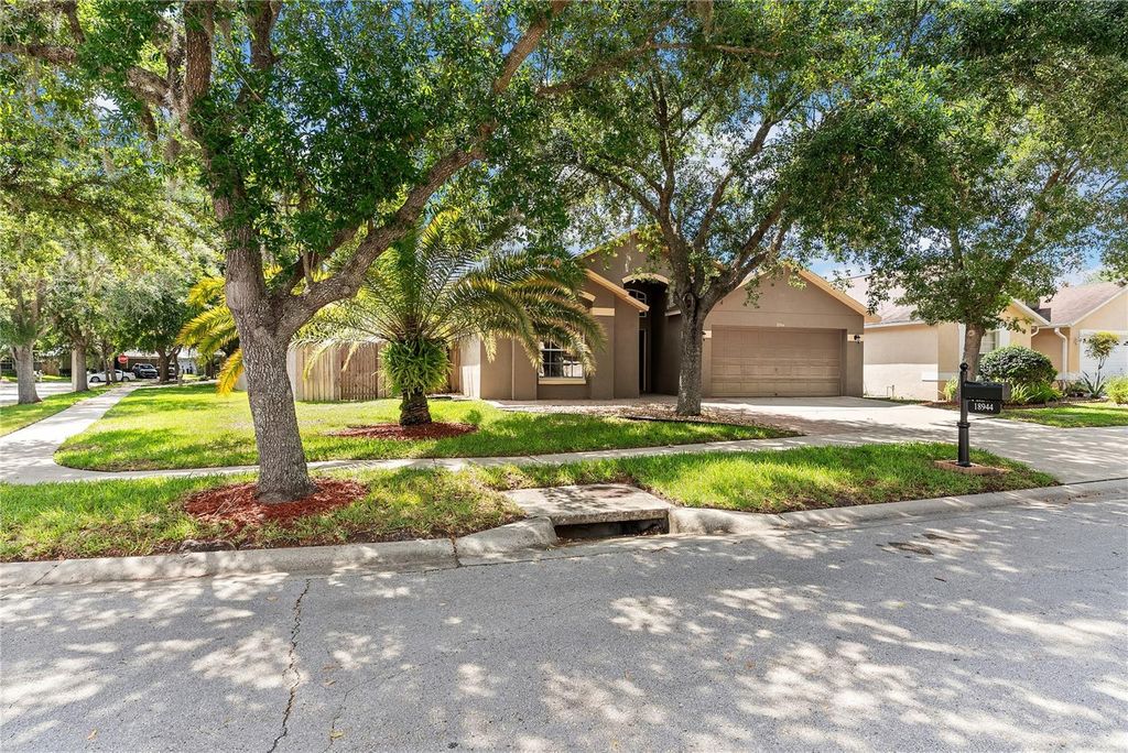 Photo of 18944 Twinberry Drive, Tampa, FL 33647 (MLS # TB8507743)