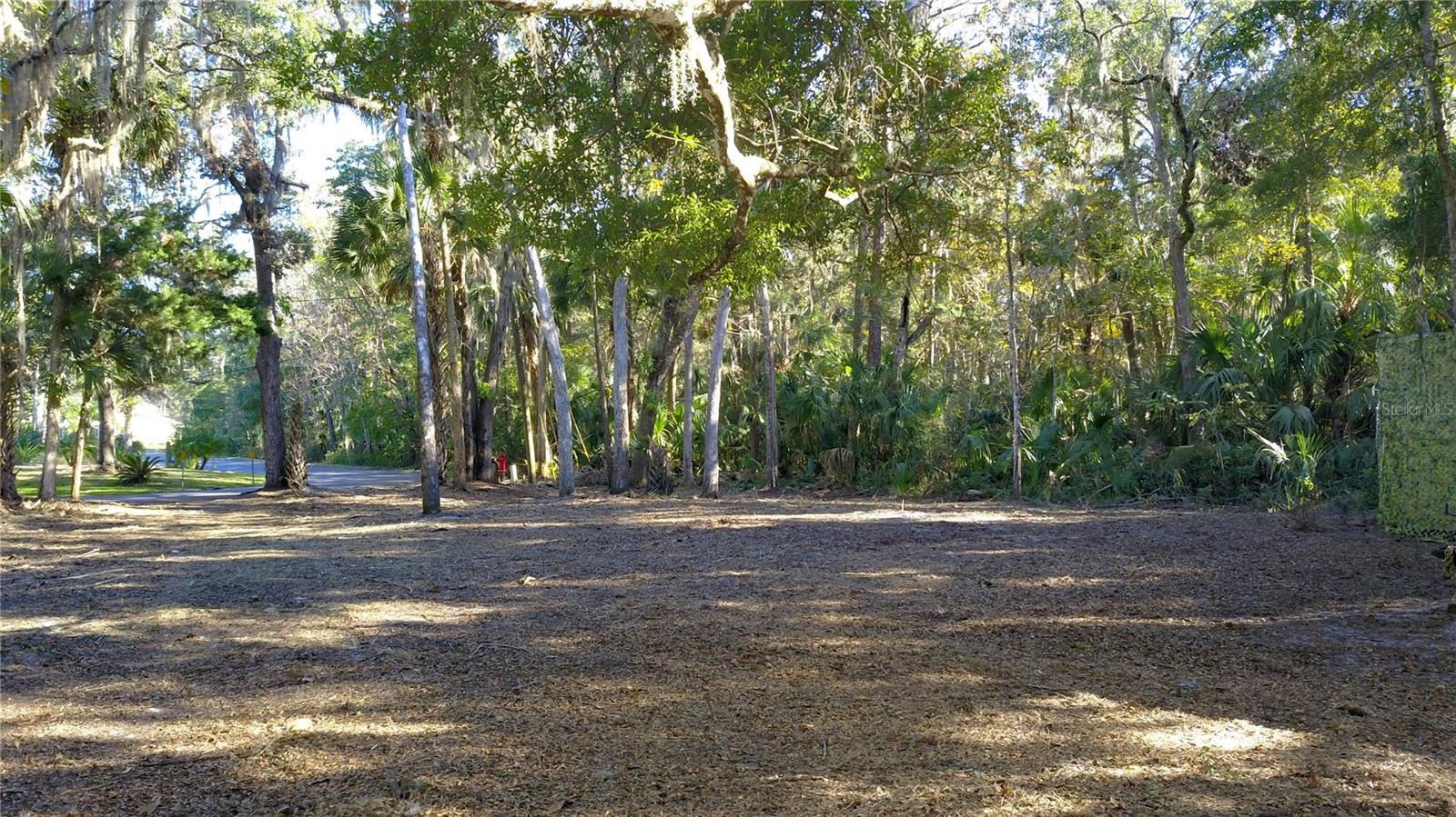 Here is the perfect opportunity to build your dream home on this prime 0.34-acre parcel in the serene Blue Water Estates community. Located on a quiet cul-de-sac, this spacious lot offers a peaceful setting for your custom home and is just minutes from the breathtaking Homosassa River, renowned for its manatee sightings, fishing, and a variety of wildlife. With easy access to local amenities, including boat ramps, parks, shopping, and dining, you'll have everything you need right at your fingertips. This lot is a blank canvas ready for your vision! Contact us today to schedule a viewing and start planning your future in this idyllic setting.