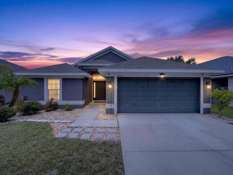 Photo of 14453 Barley Field Drive, Wimauma, FL 33598 (MLS # A4700788)