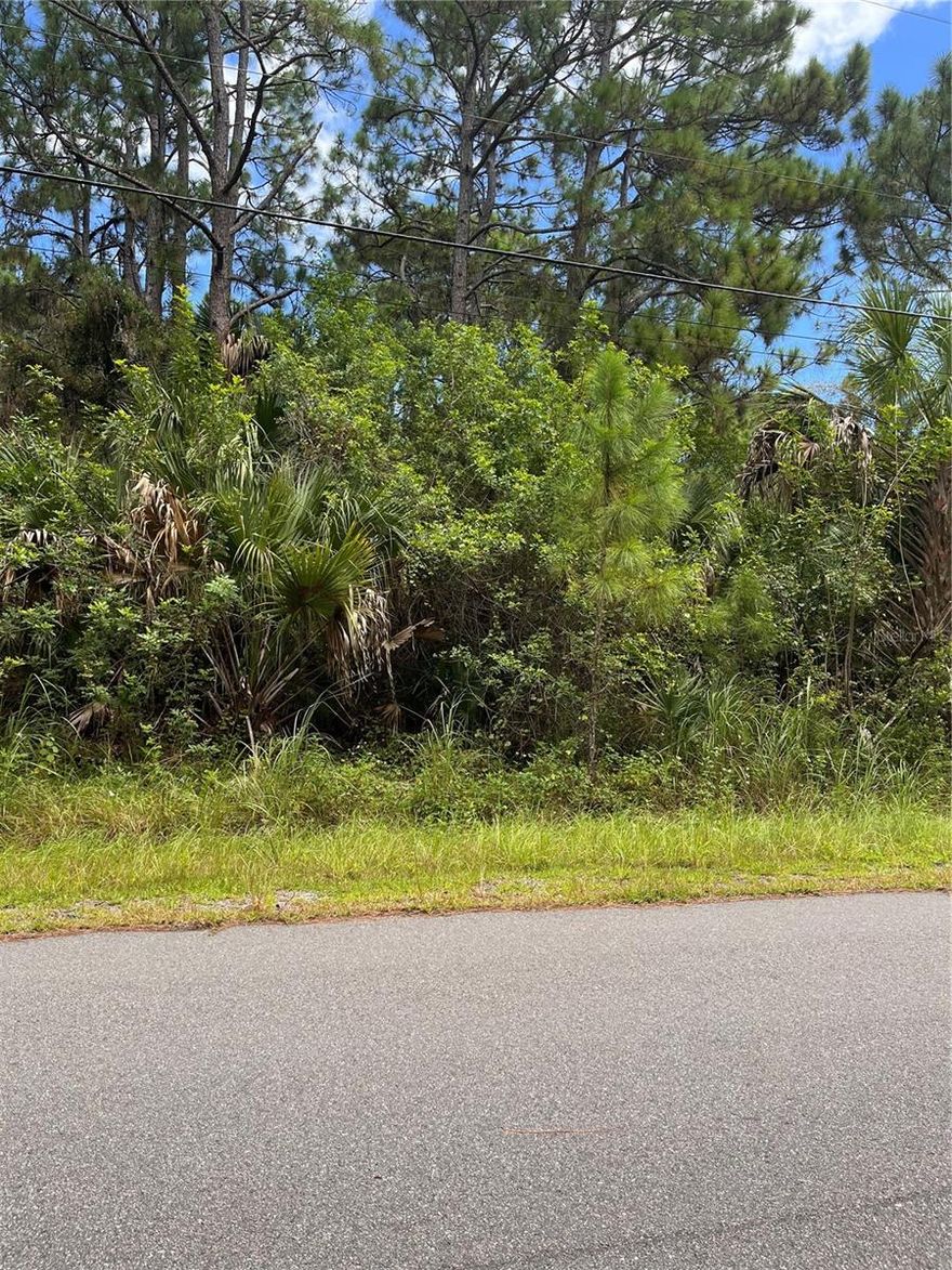 BEAUTIFUL BUILDABLE LOT IN PRIME PALM BAY AREA. THIS STREET IS ALMOST COMPLETELY BUILT OUT. LOT HAS CITY WATER, NEEDS SEPTIC SYSTEM. LOCATED BETWEEN 902 & 918 SALINA ST SE.
 CLOSE TO SHOPPING, HIGHWAYS AND PATRICK WOODARD MEMORIAL PARK. 
SHOW AND SELL!!!!!!!!!!!!!!!!!!!!!!!!!!!!!!!!!!!!!!!!!!!!!!!!!!!!!!!!!!!!!!!!!!!!!!!!!!!!!!