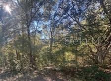 000386 - CITRUS SPRINGS UNIT 19 - Land