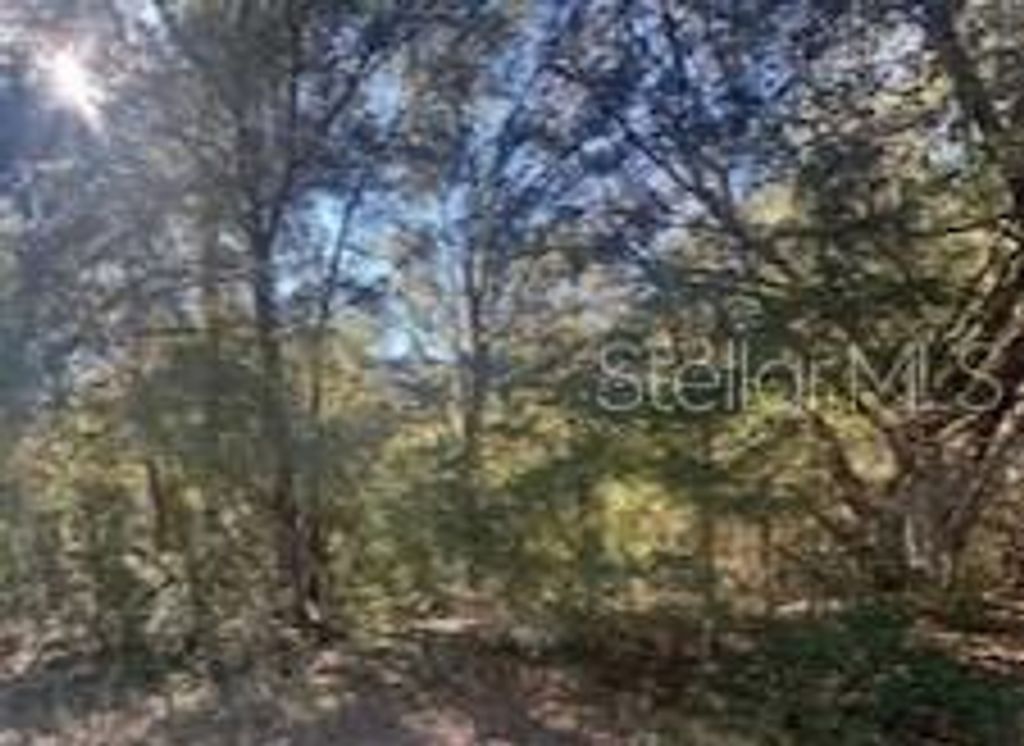 Photo of 10014 N Athenia Drive, Citrus Springs, FL 34434 (MLS # W7880233)