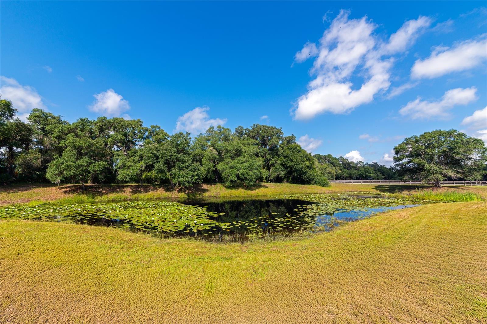 RANCHES AT MOSSY HAMMOCK - Residential