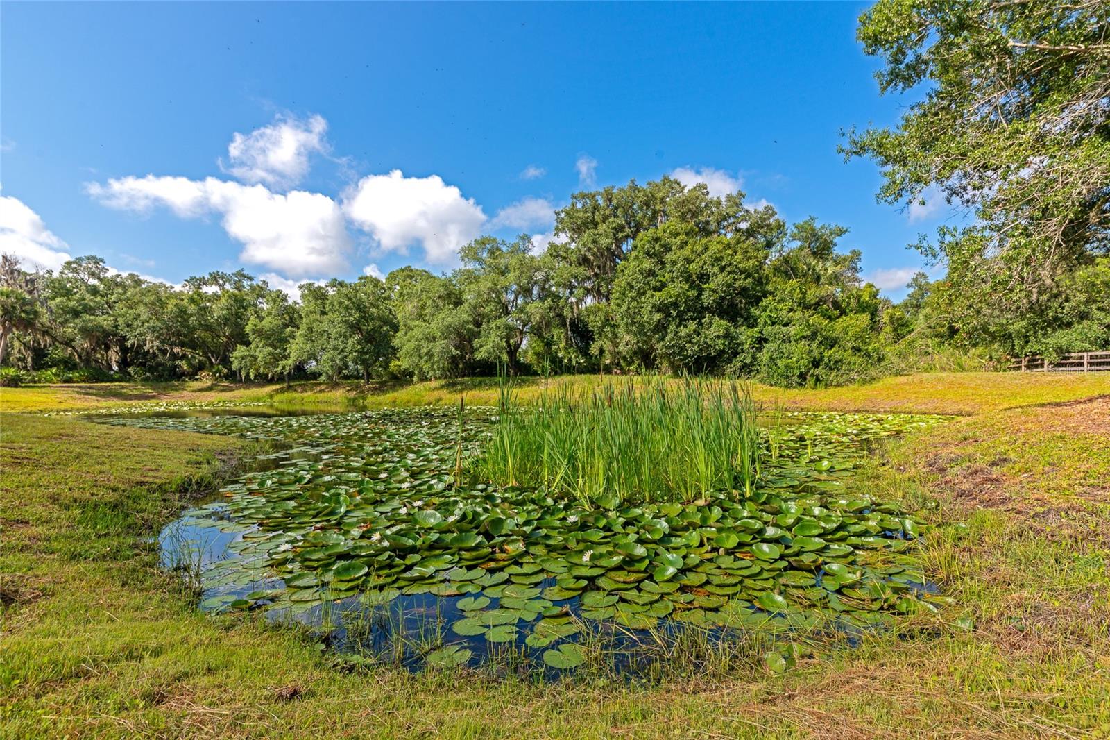 RANCHES AT MOSSY HAMMOCK - Residential