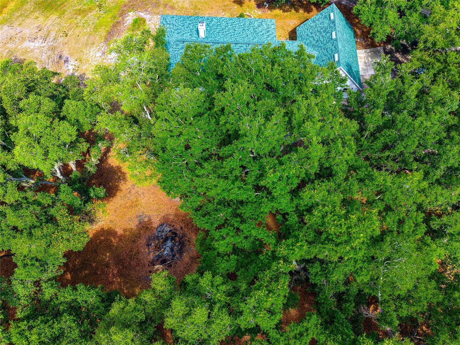 RANCHES AT MOSSY HAMMOCK - Residential