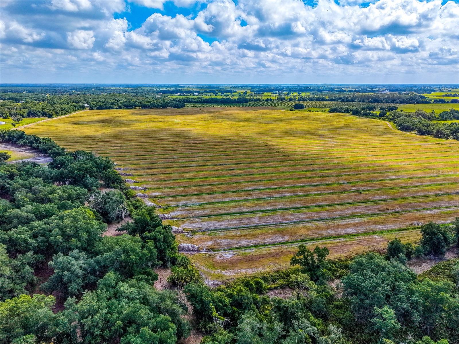 RANCHES AT MOSSY HAMMOCK - Residential